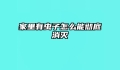 家里有虫子怎么能彻底消灭