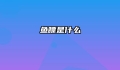 鱼瞟是什么