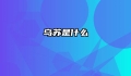 乌苏是什么