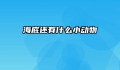 海底还有什么小动物