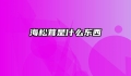 海松茸是什么东西