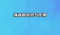 海燕的功效与作用