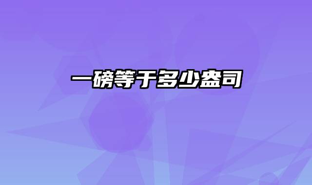 一磅等于多少盎司