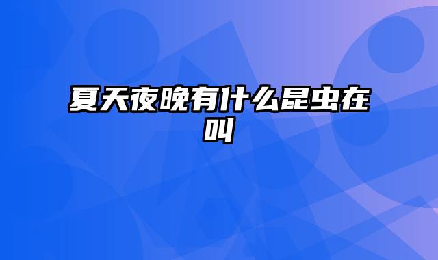 夏天夜晚有什么昆虫在叫