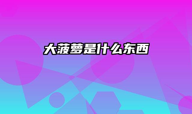 大菠萝是什么东西