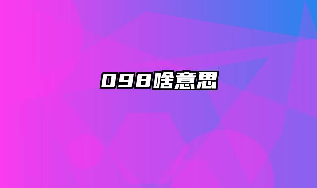 098啥意思