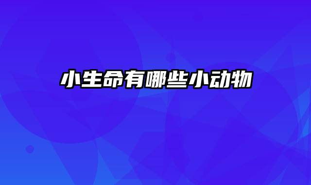 小生命有哪些小动物