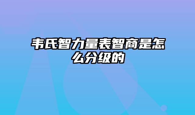 韦氏智力量表智商是怎么分级的
