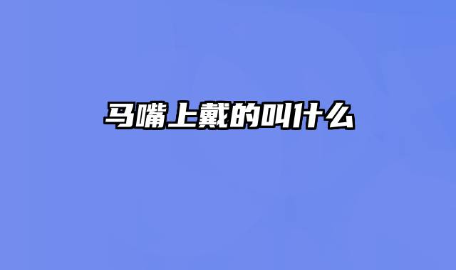 马嘴上戴的叫什么