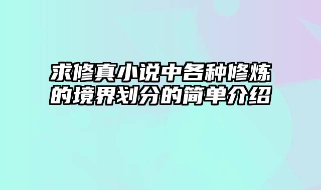 求修真小说中各种修炼的境界划分的简单介绍