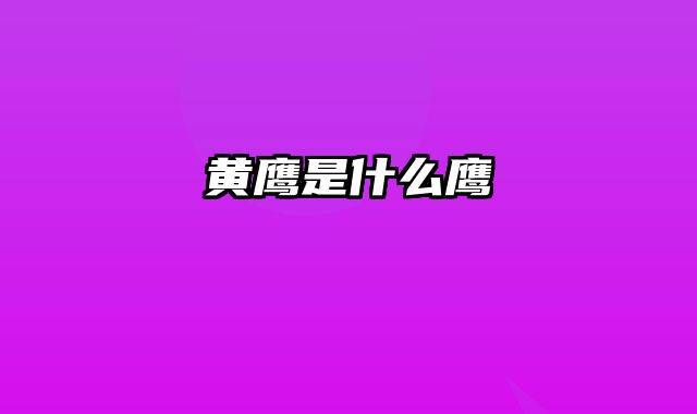 黄鹰是什么鹰