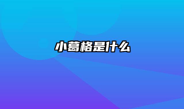 小葛格是什么