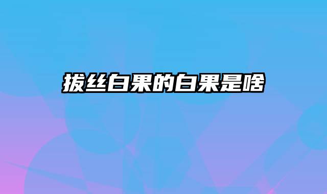 拔丝白果的白果是啥
