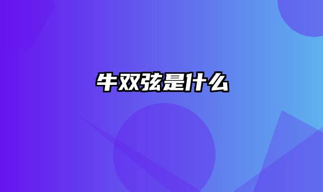 牛双弦是什么
