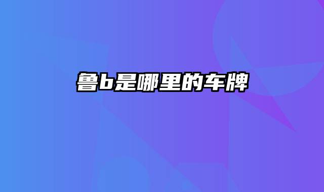 鲁b是哪里的车牌