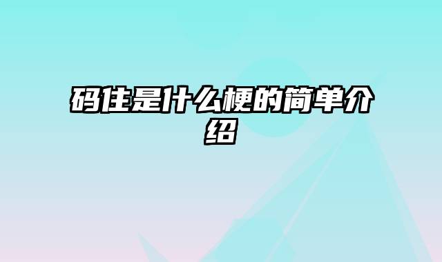 码住是什么梗的简单介绍