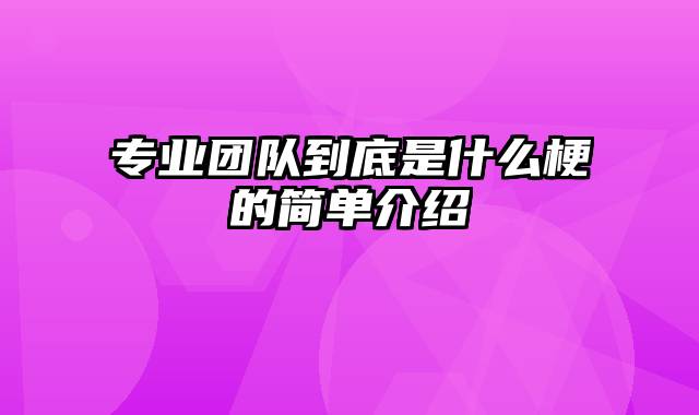 专业团队到底是什么梗的简单介绍