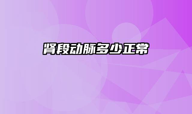 肾段动脉多少正常