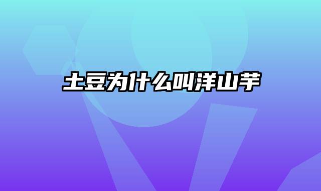 土豆为什么叫洋山芋