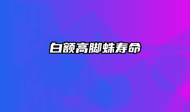 白额高脚蛛寿命