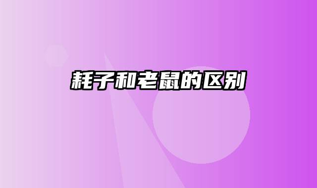 耗子和老鼠的区别