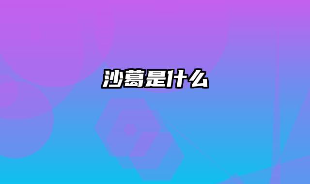 沙葛是什么