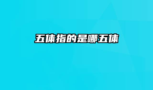 五体指的是哪五体