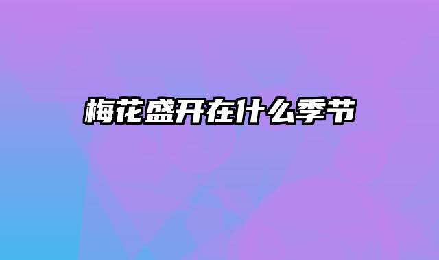 梅花盛开在什么季节