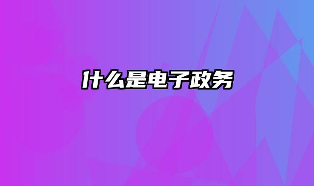 什么是电子政务