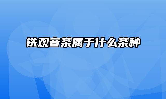 铁观音茶属于什么茶种