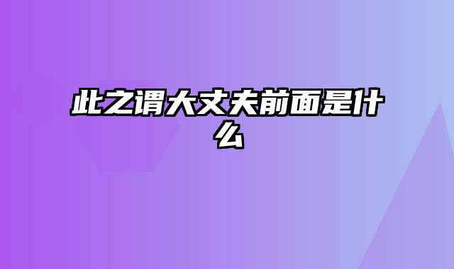 此之谓大丈夫前面是什么
