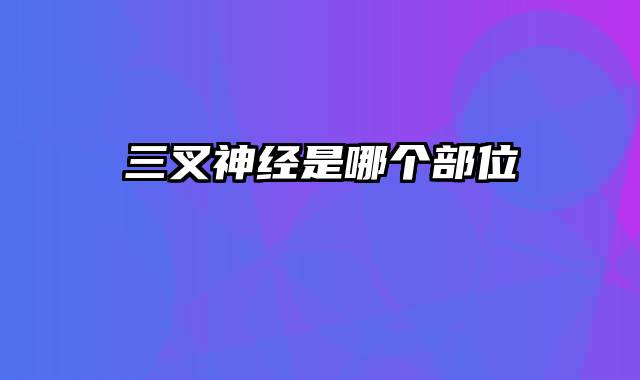 三叉神经是哪个部位