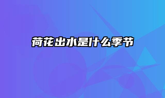 荷花出水是什么季节