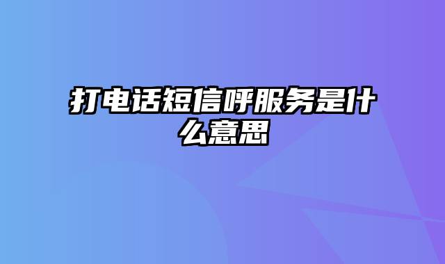 打电话短信呼服务是什么意思