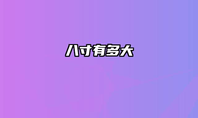 八寸有多大