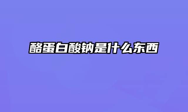 酪蛋白酸钠是什么东西