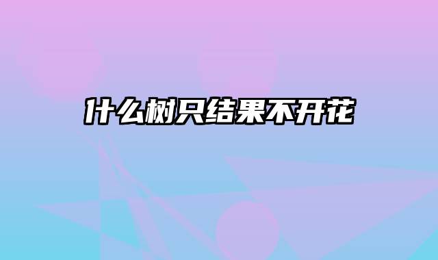 什么树只结果不开花