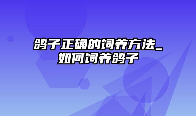 鸽子正确的饲养方法_如何饲养鸽子
