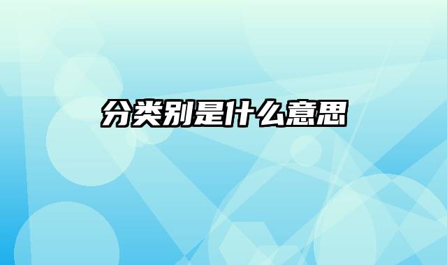 分类别是什么意思