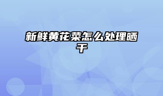 新鲜黄花菜怎么处理晒干