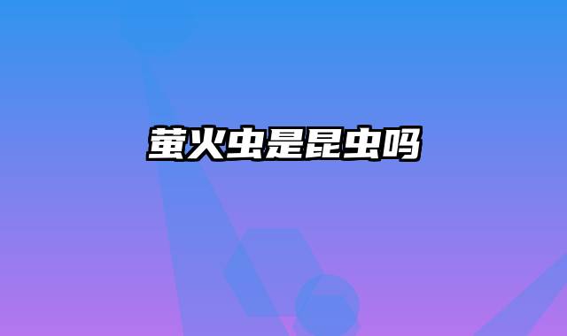萤火虫是昆虫吗
