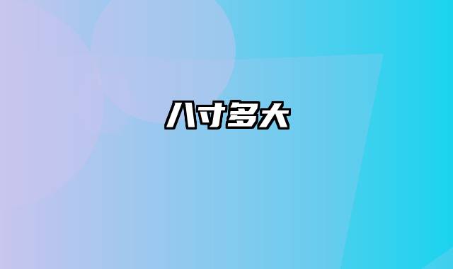 八寸多大