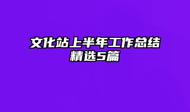 文化站上半年工作总结精选5篇
