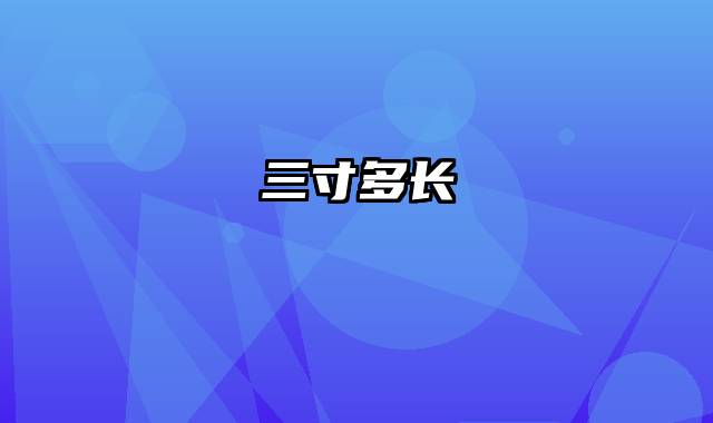 三寸多长