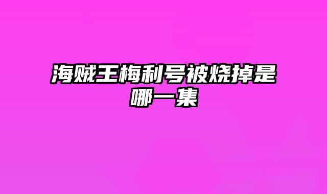 海贼王梅利号被烧掉是哪一集