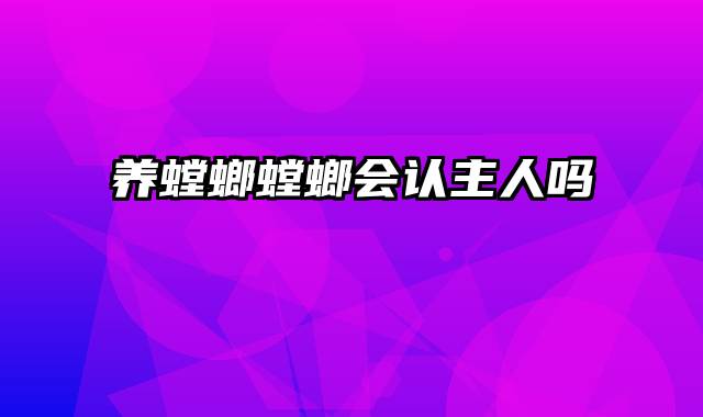 养螳螂螳螂会认主人吗