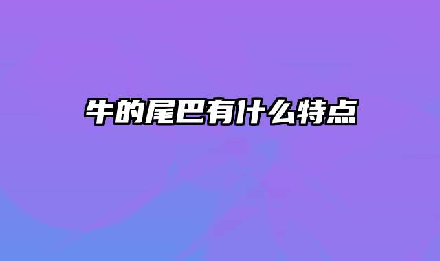 牛的尾巴有什么特点