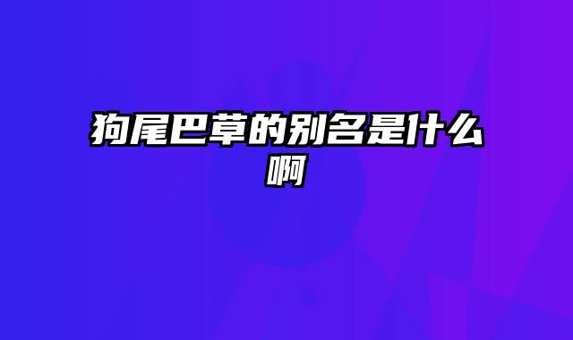 狗尾巴草的别名是什么啊