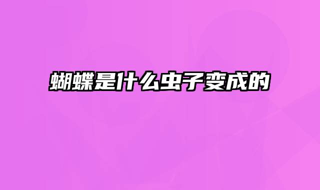 蝴蝶是什么虫子变成的