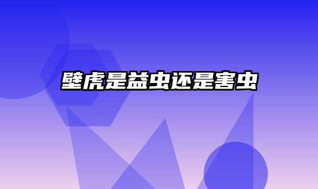 壁虎是益虫还是害虫